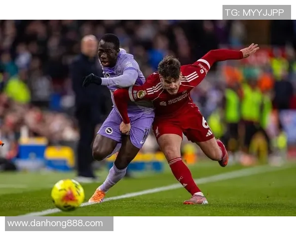 利物浦与布莱顿精彩对决直播全程回顾与分析