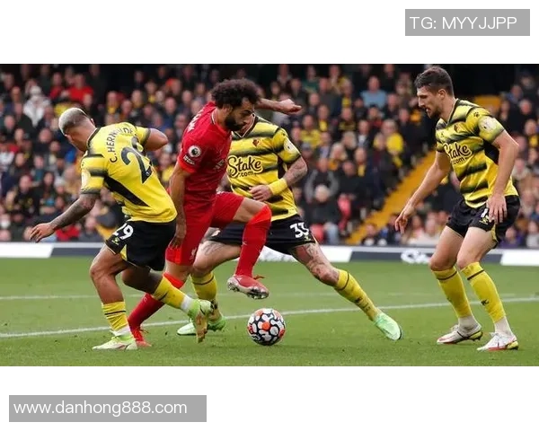 重庆飞盘队实力飙升创造历史新高引发热议与关注